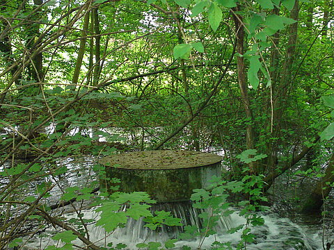 Landschaftspark Wiese - Wald