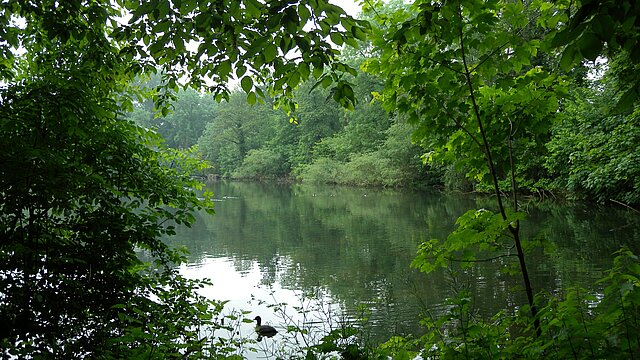 Landschaftspark Wiese - Natur- und Umweltschutz