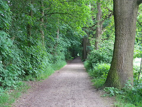 Landschaftspark Wiese - Wald