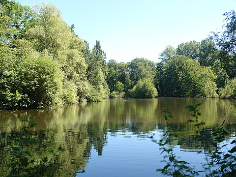 Landschaftspark Wiese - Gewässer