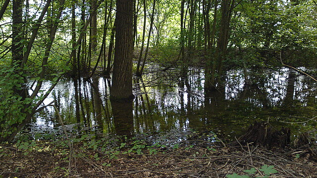 Landschaftspark Wiese - Trinkwasserversorgung