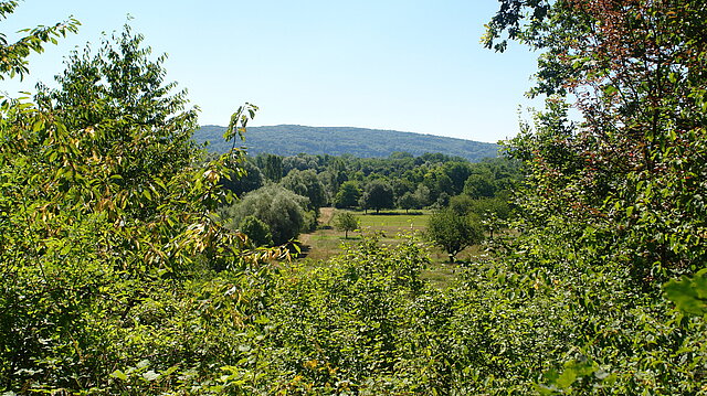 Landschaftspark Wiese - Natur- und Umweltschutz