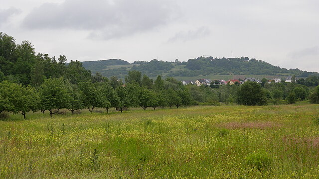 Landschaftspark Wiese - Natur- und Umweltschutz