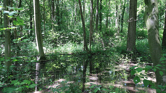 Landschaftspark Wiese - Trinkwasserversorgung