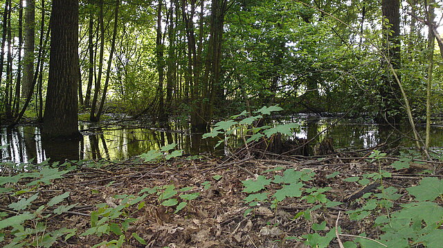 Landschaftspark Wiese - Trinkwasserversorgung