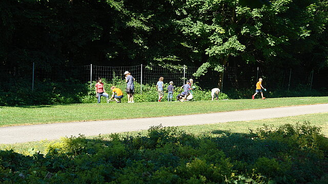 Landschaftspark Wiese - Umweltbildung