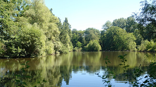 Landschaftspark Wiese - Gewässer