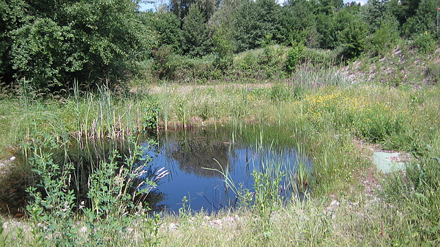 Landschaftspark Wiese - Natur- und Umweltschutz